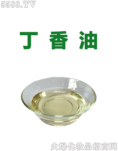 ݶ㾫