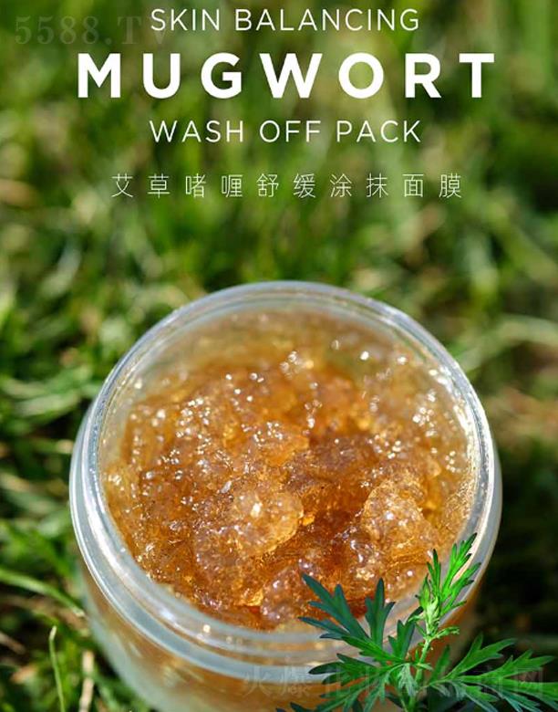 ANCORS���݆���澏?f��)�Ĩ���? name=