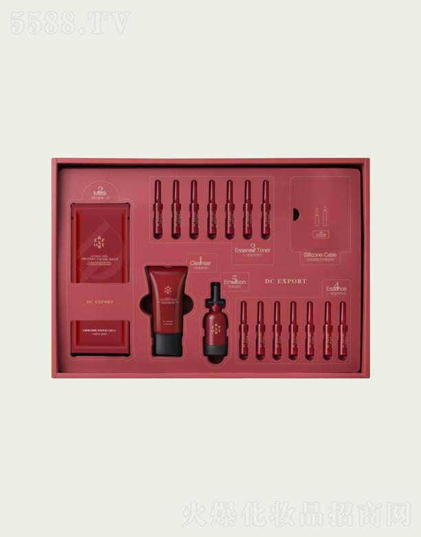 DC EXPORT����B(y��ng)�w�׺�