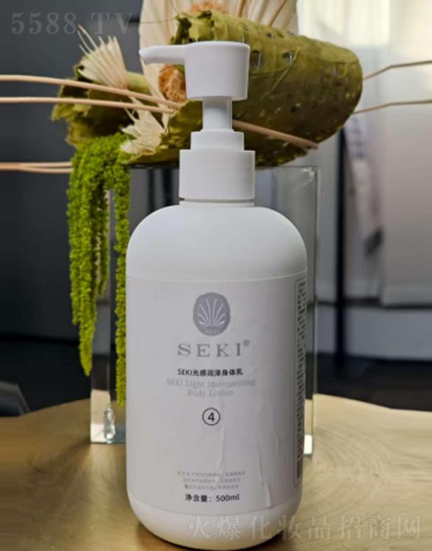 SEKI�z�����Н�(r��n)�����w��